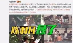 咸阳出轨爆料案件视频,视频揭露惊人真相，事件背后有何隐情？