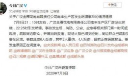 四川爆料最新消息视频播放,视频揭露惊人真相，网友热议不断！